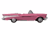 Anima002.gif (8222 byte)