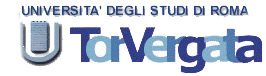 Universit degli Studi di Roma 'Tor Vergata'