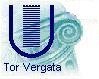 Logo: logo dell'ufficio per gli sudenti disabili universit di Roma Tor Vergata