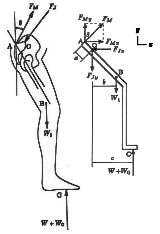 Schema: biomeccanica dell'arto inferiore