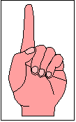 Casella di testo:  